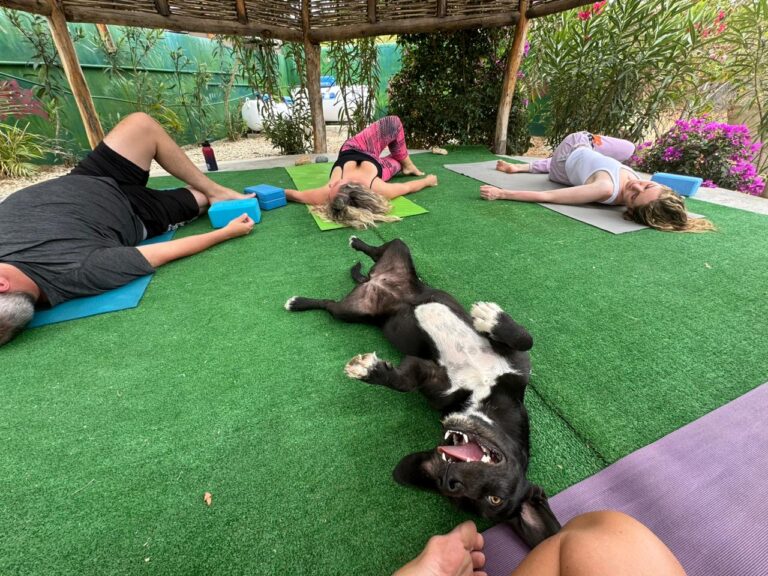 Blue Wave Retreat - Detox Retreat in Mexico.