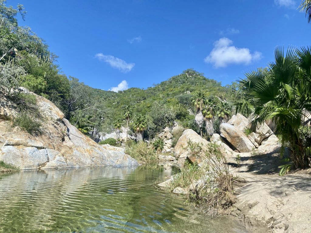 Upcoming Retreats