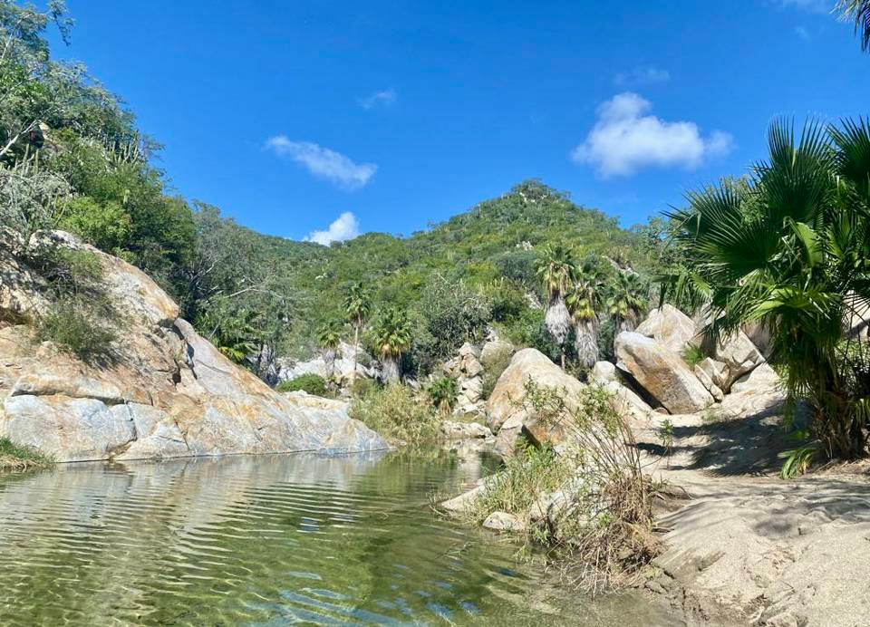 Detox Retreat in Baja Sur Mexico Home